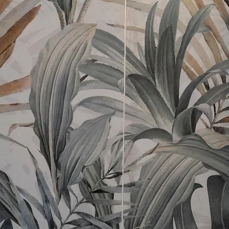 Nomad 3* 斯培西亚